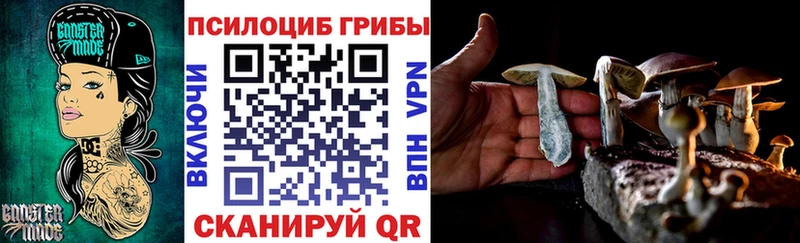 нарко площадка состав  Михайловск  Псилоцибиновые грибы Psilocybe 