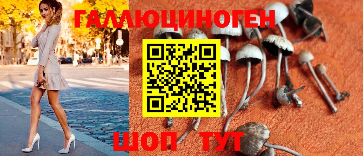 Михайловск  Псилоцибиновые грибы Cubensis  Вход с VPN 
