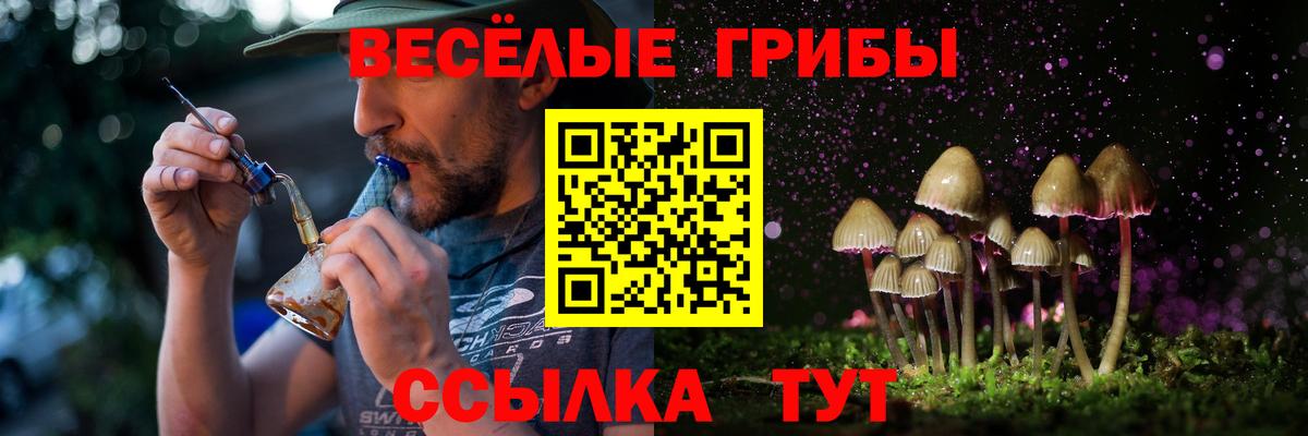 Галлюциногенные грибы Magic Shrooms Михайловск